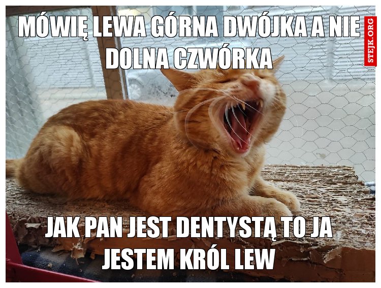 mówię lewa górna dwójka a nie dolna czwórka