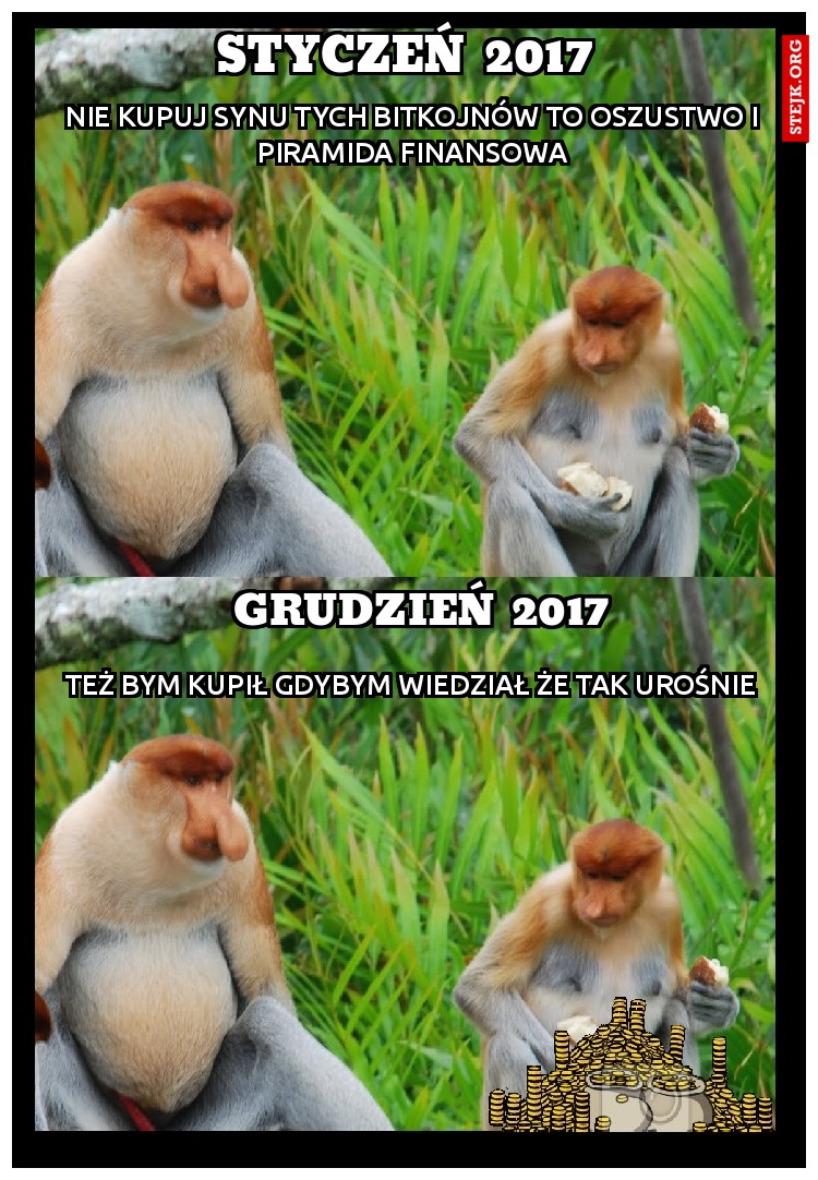 nie kupuj synu tych bitkojnów to oszustwo i piramida finansowa