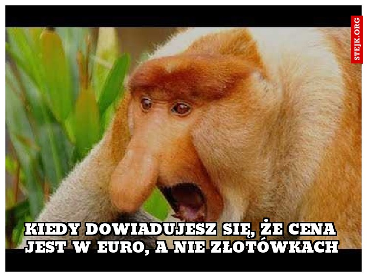 Kiedy dowiadujesz się, że cena jest w Euro, a nie złotówkach