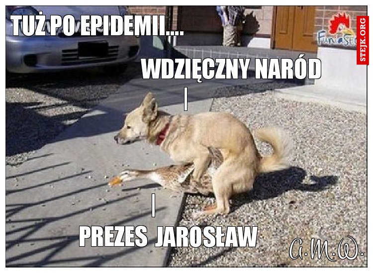tuż po epidemii....