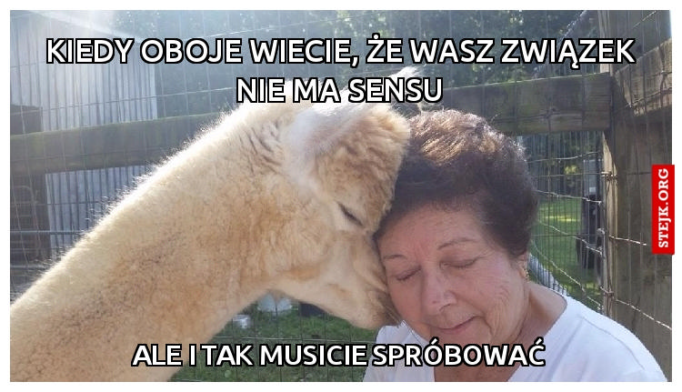 Kiedy oboje wiecie, że wasz związek nie ma sensu