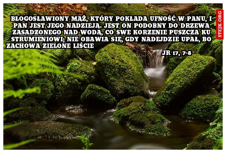 Błogosławiony mąż, który pokłada ufność w Panu, i Pan jest jego nadzieją. Jest on podobny do drzewa zasadzonego nad wodą, co swe korzenie puszcza ku strumieniowi; nie obawia się, gdy nadejdzie upał, bo zachowa zielone liście                                                                                                              Jr 17, 7-8