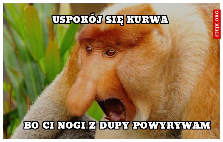 BO CI NOGI Z DUPY POWYRYWAM