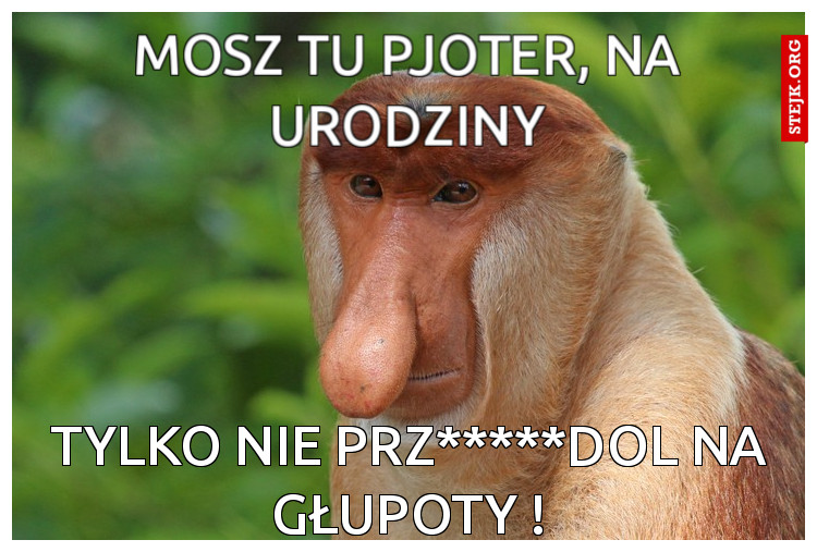 mOSZ TU PJOTER, NA URODZINY