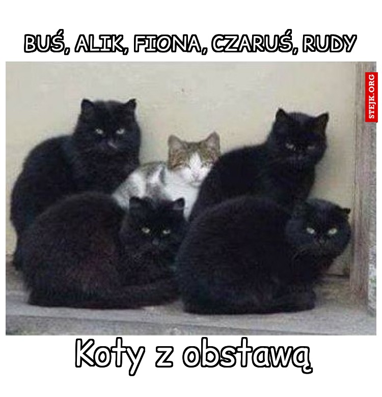 BuŚ, Alik, Fiona, CzaruŚ, Rudy