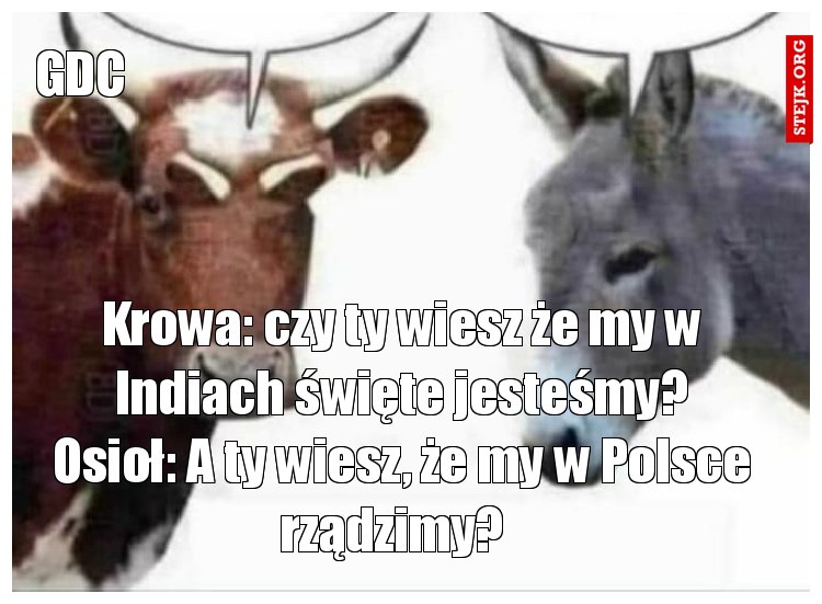 Krowa: czy ty wiesz że my w Indiach święte jesteśmy? Osioł: A ty wiesz, że my w Polsce rządzimy?  