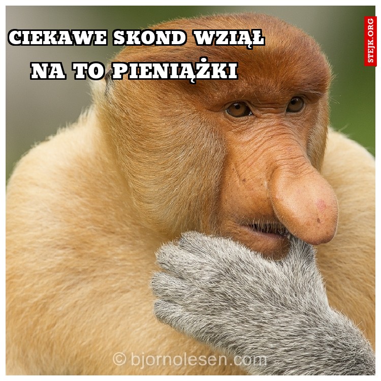 CIEKAWE SKOND WZIĄŁ