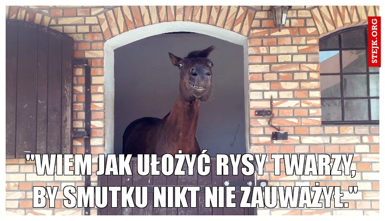"Wiem jak ułożyć rysy twarzy,   by smutku nikt nie zauważył."