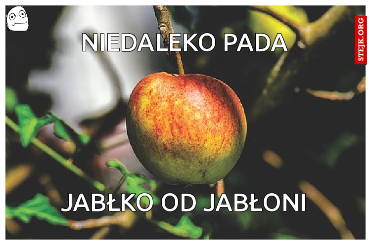 Niedaleko pada