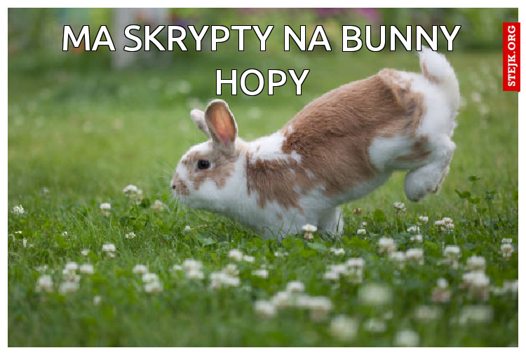 ma skrypty na bunny hopy