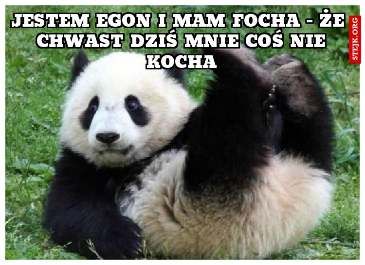 Jestem Egon i mam focha - że  chwast dziś mnie coś nie kocha