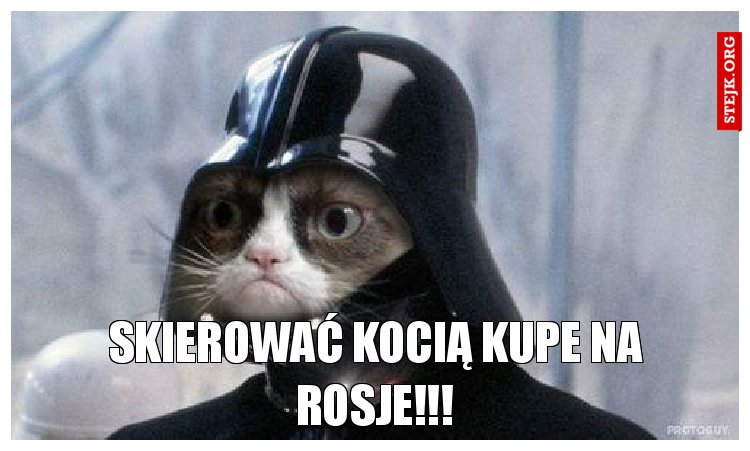 Skierować Kocią kupe na rosje!!!