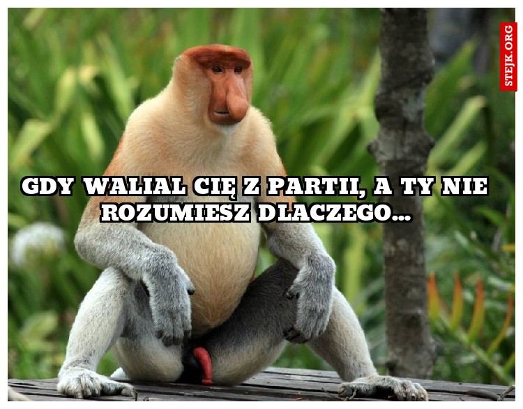 Gdy walial cię z partii, a ty nie rozumiesz dlaczego...
