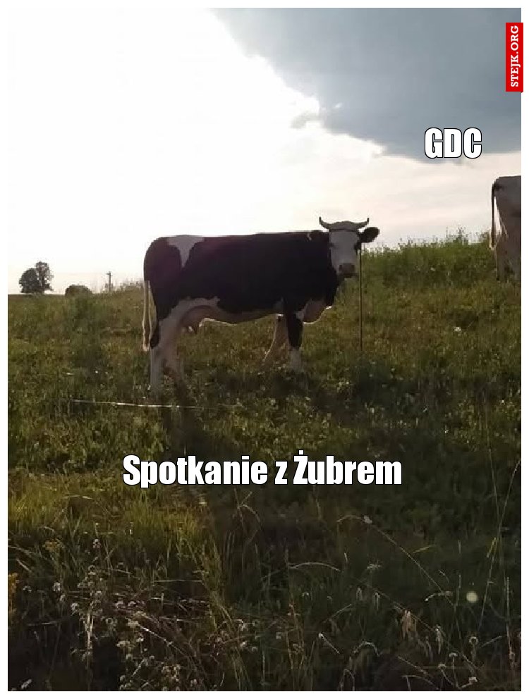 Spotkanie z Żubrem