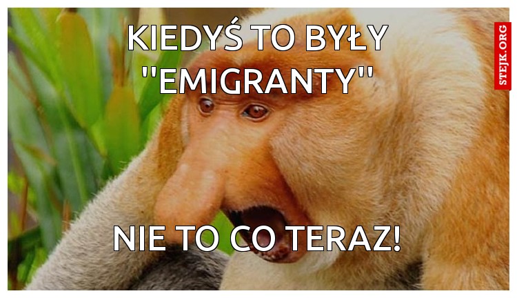Kiedyś to były ''emigranty''