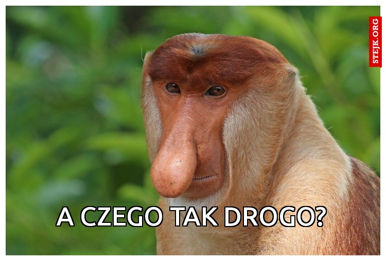 A czego tak drogo?