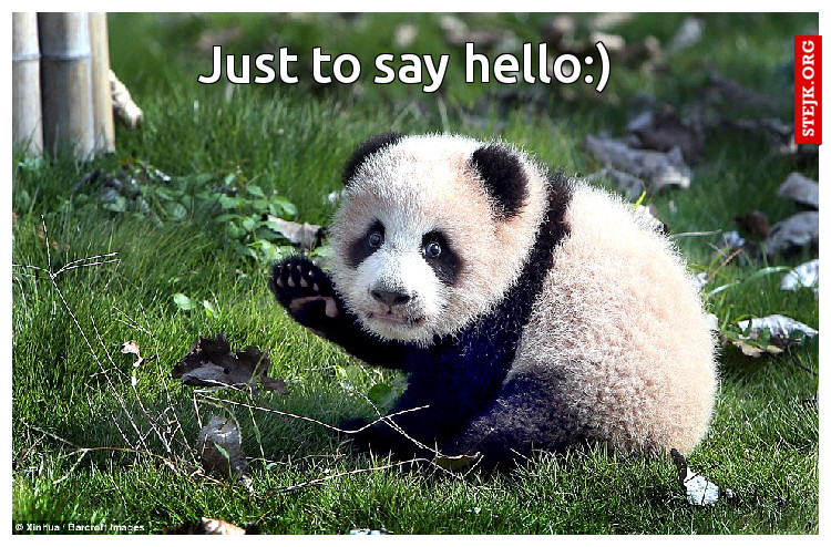 Just to say hello:)