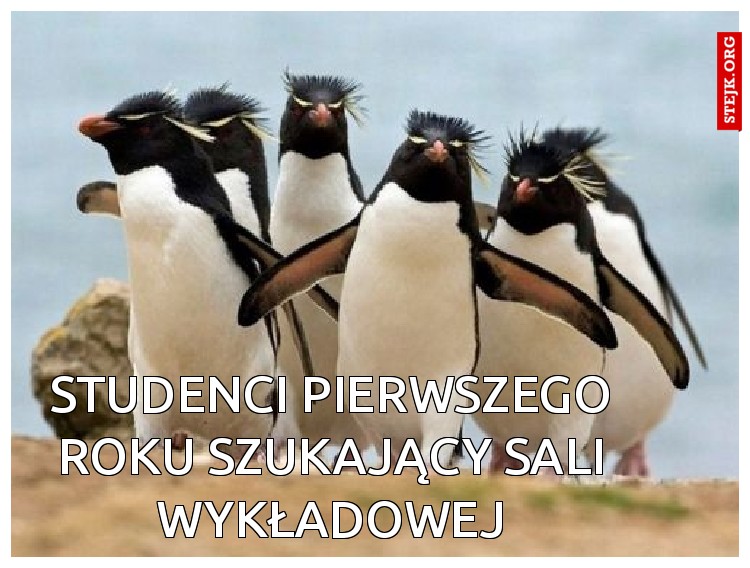 Studenci pierwszego roku szukający sali wykładowej