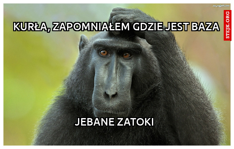 kurła, zapomniałem gdzie jest Baza