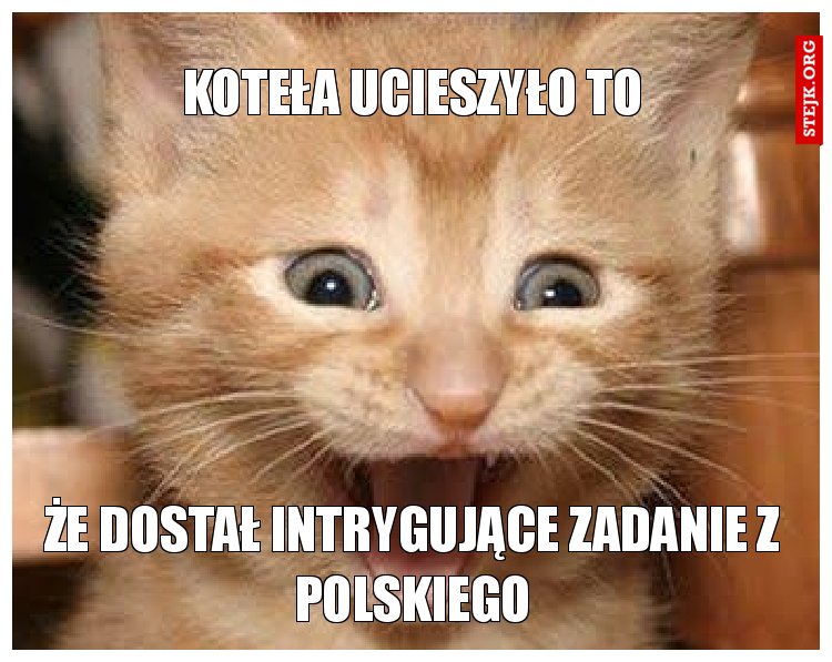 Koteła ucieszyło to