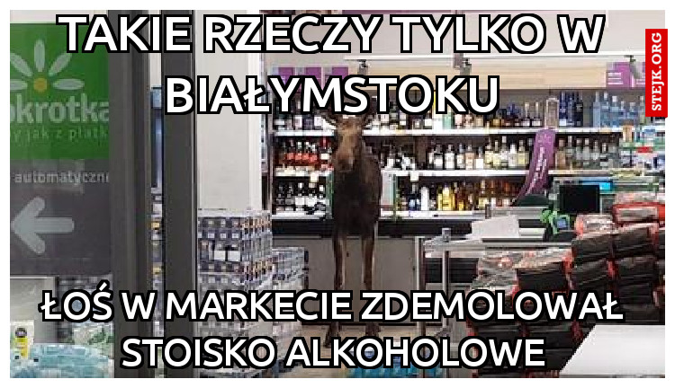 Takie rzeczy tylko w białymstoku