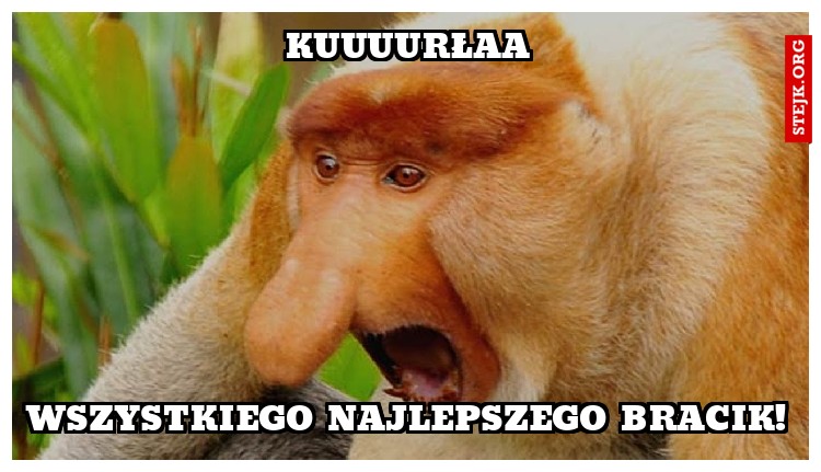 KUUUURŁAA