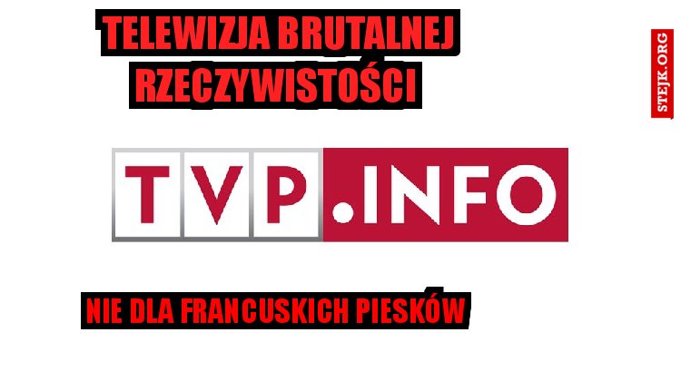 Telewizja brutalnej rzeczywistości 