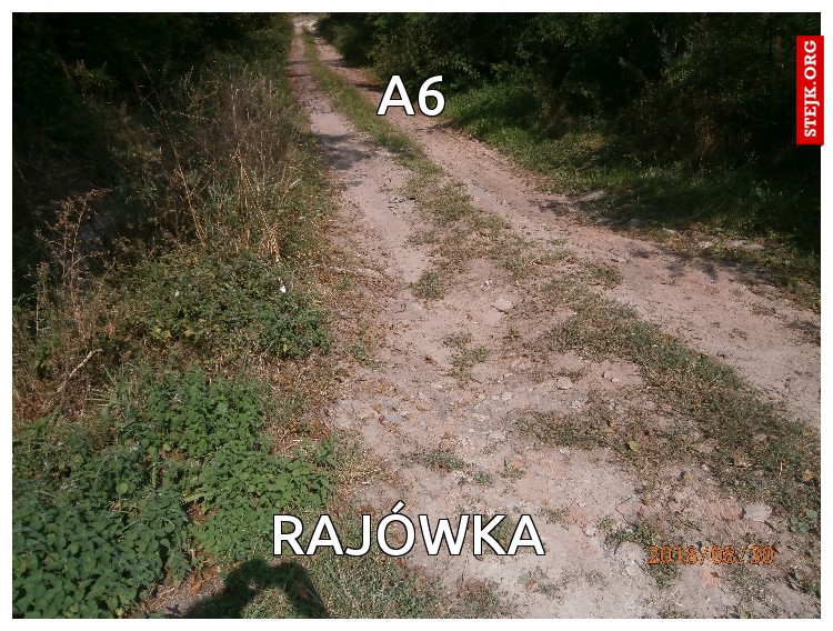 A6