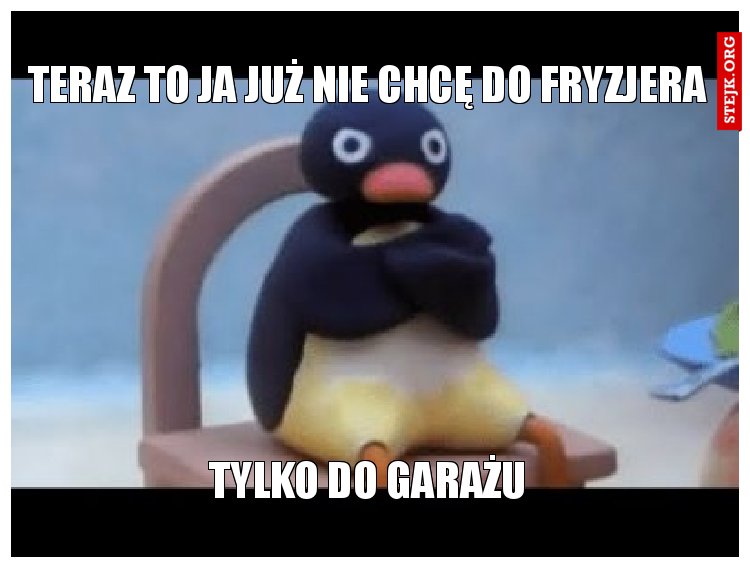 Teraz to ja już nie chcę do fryzjera 