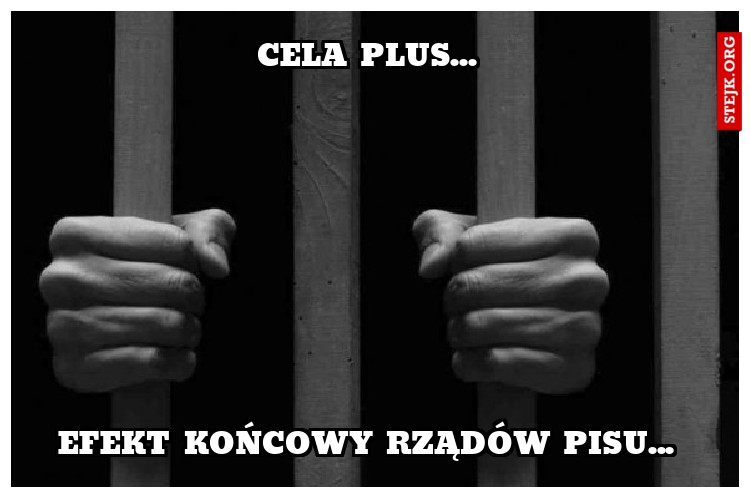 Cela plus... 
