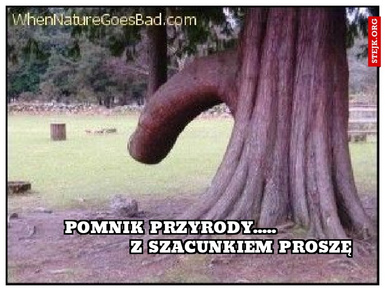 Pomnik przyrody.....                       Z szacunkiem proszę