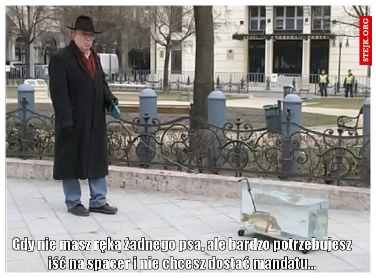 Gdy nie masz ręką żadnego psa, ale bardzo potrzebujesz iść na spacer i nie chcesz dostać mandatu...