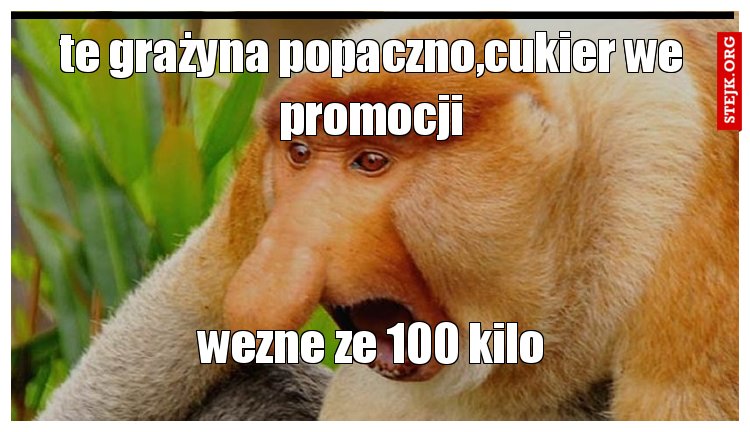 te grażyna popaczno,cukier we promocji
