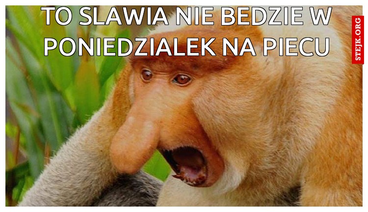 To SLAWIA NIE BEDZIE W PONIEDZIALEK NA PIECU