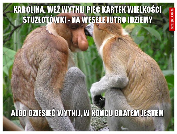 Karolina, weź wytnij pięc kartek wielkości stuzłotówki - na wesele jutro idziemy
