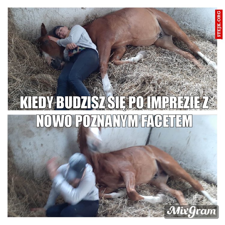 Kiedy budzisz się po imprezie z nowo poznanym facetem