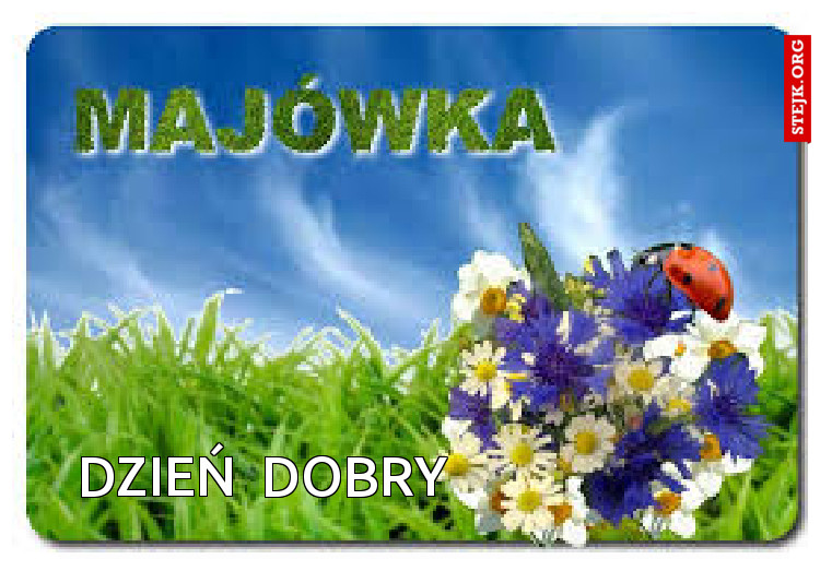 Dzień  dobry                       