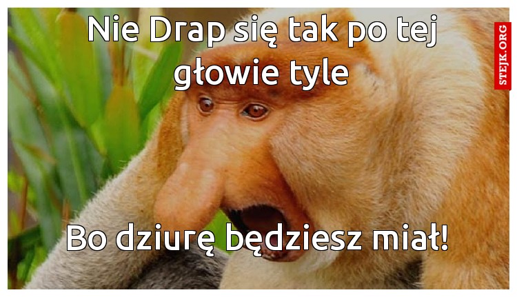 Nie Drap się tak po tej głowie tyle