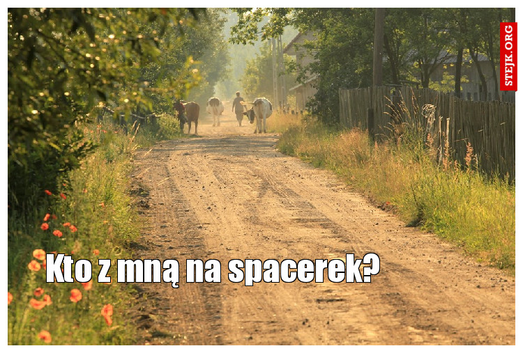Kto z mną na spacerek?