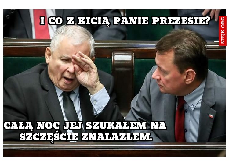 I co z kicią panie prezesie?