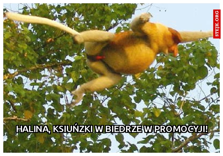 Halina, Ksiuńzki w biedrze w promocyji!