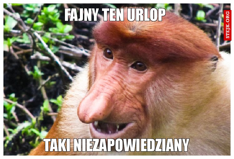Fajny ten urlop 