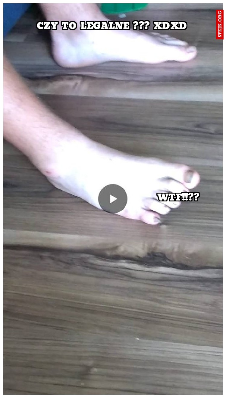 WTF!!??