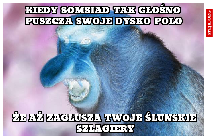 kiedy somsiad tak głośno puszcza swoje dysko polo