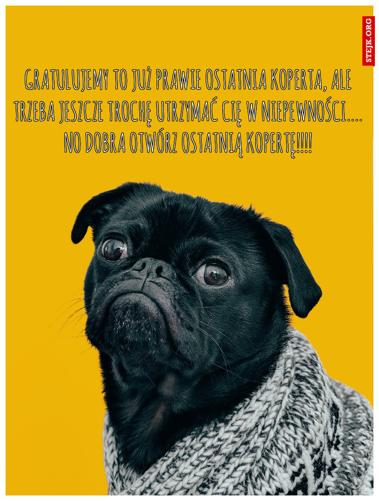 GRATULUJEMY TO JUŻ PRAWIE OSTATNIA KOPERTA, ALE TRZEBA JESZCZE TROCHĘ UTRZYMAĆ CIĘ W NIEPEWNOŚCI…. NO DOBRA OTWÓRZ OSTATNIĄ KOPERTĘ!!!!