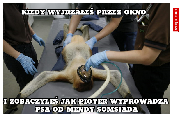 kiedy wyjrzałeś przez okno