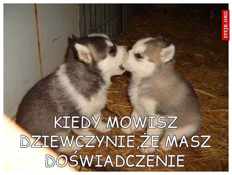 KIEDY MOWISZ DZIEWCZYNIE,ŻE MASZ DOŚWIADCZENIE