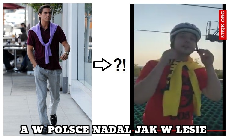 a w polsce nadal jak w lesie