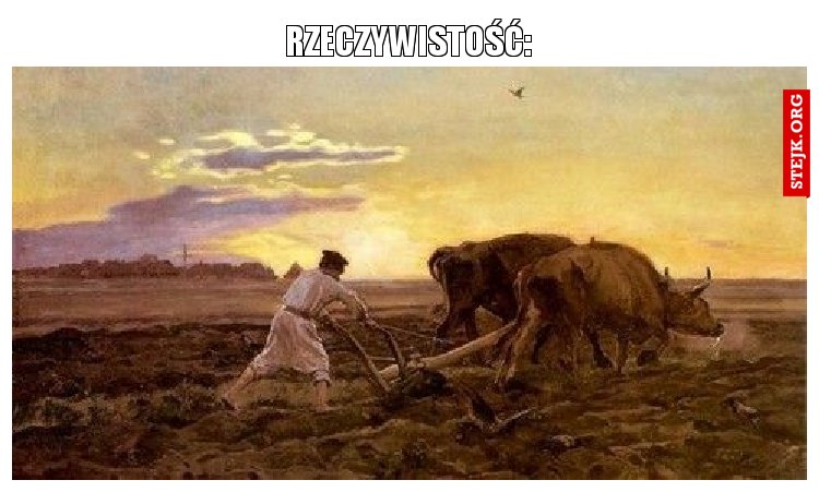 rzeczywistość: