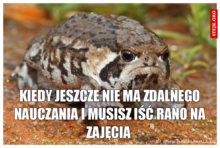 Kiedy jeszcze nie ma zdalnego nauczania i musisz iść rano na zajęcia 